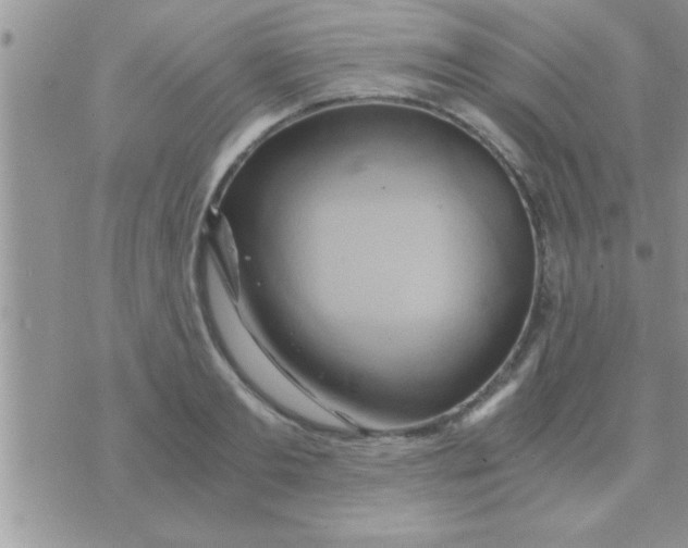 X0000071380893200607142107