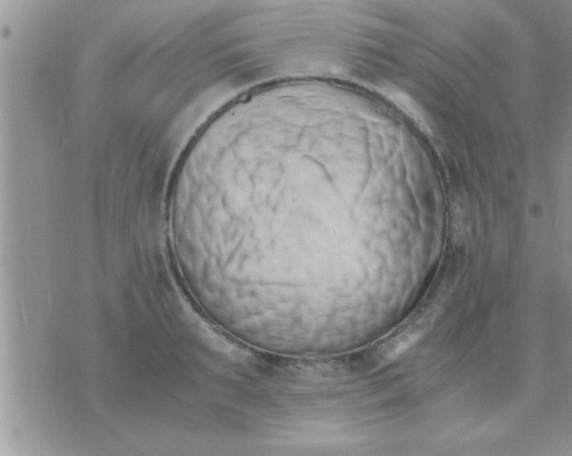 X0000071380895200607142107