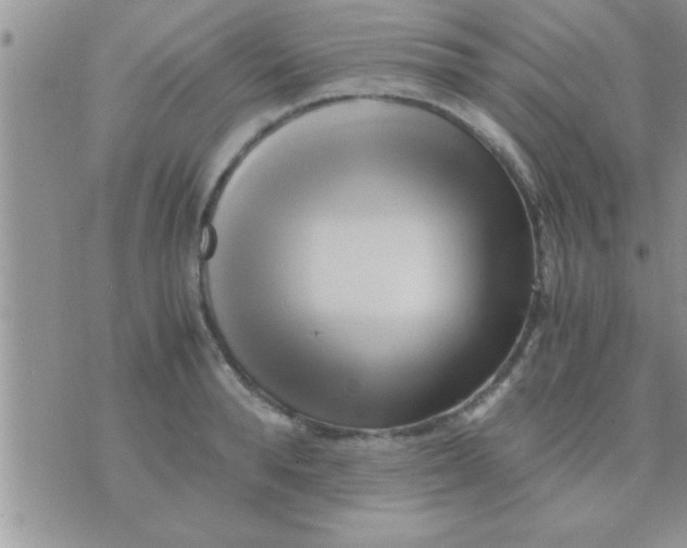 X0000071380896200607142107