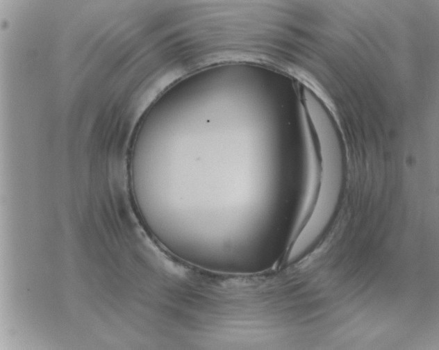 X0000071380898200607142107