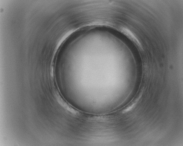 X0000071380900200607142107