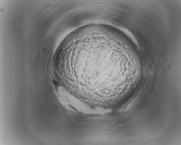 X0000071380903200607142107