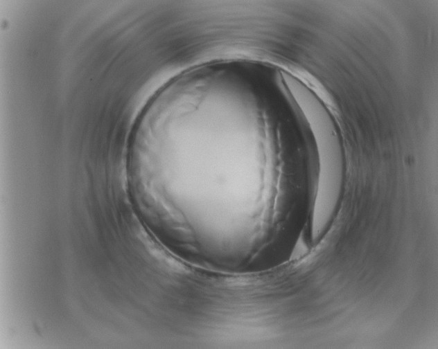 X0000071380904200607142107