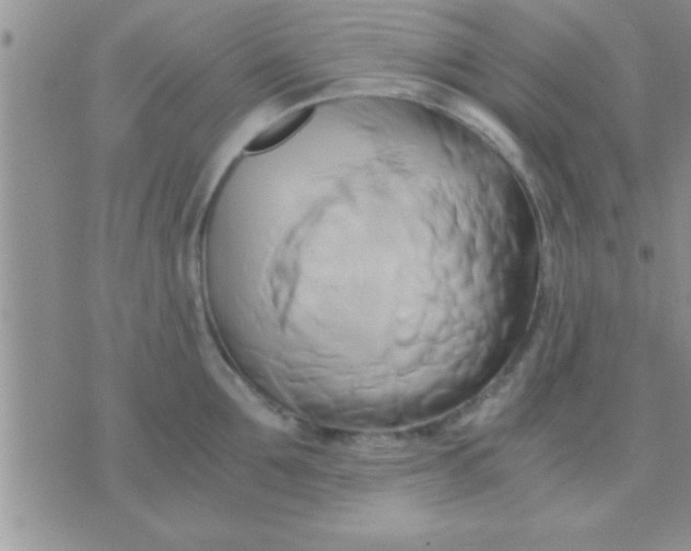 X0000071380907200607142107