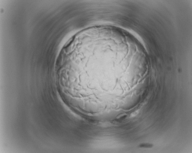 X0000071380911200607142107