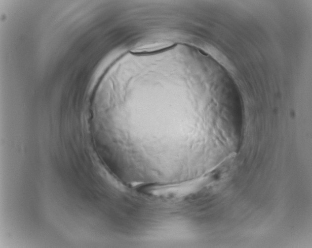 X0000071380912200607142107