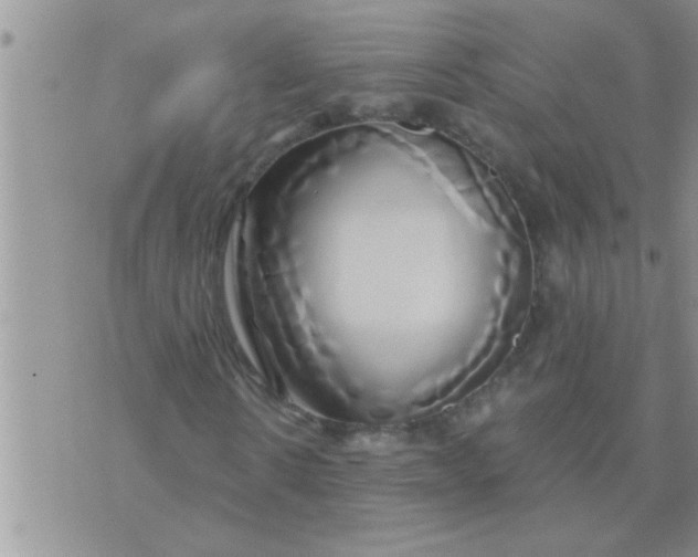 X0000071380914200607142106