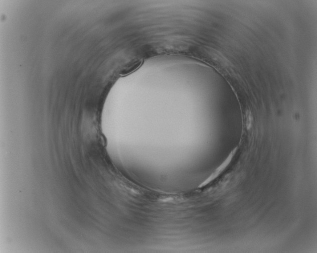 X0000071380915200607142106