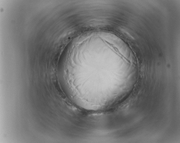 X0000071380917200607142106