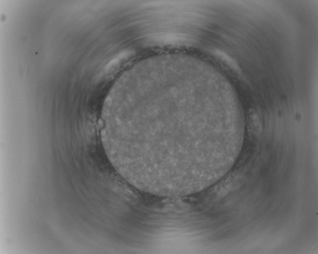 X0000071380918200607142106