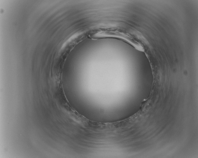 X0000071380920200607142106