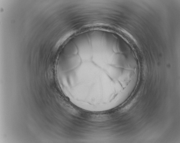 X0000071380921200607142107