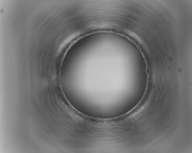 X0000071380922200607142107