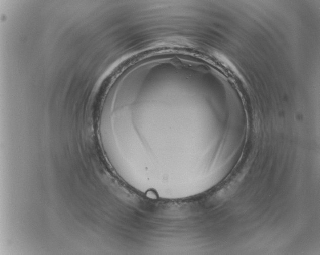 X0000071380923200607142107