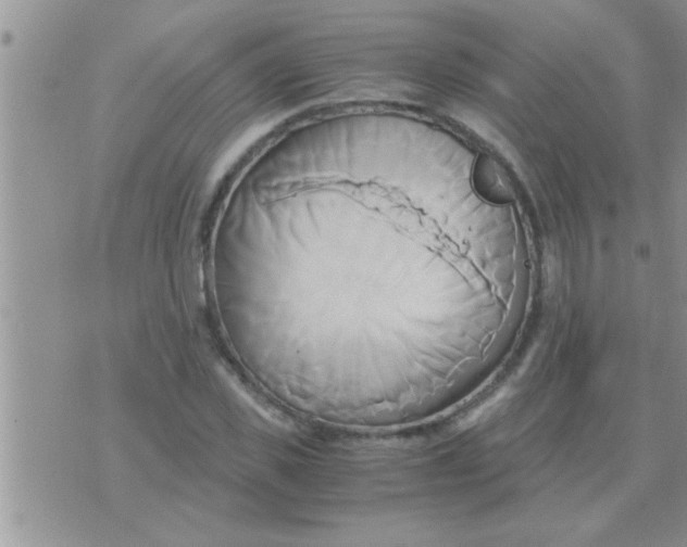 X0000071380925200607142107