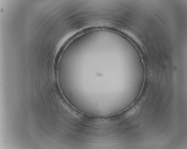 X0000071380927200607142107