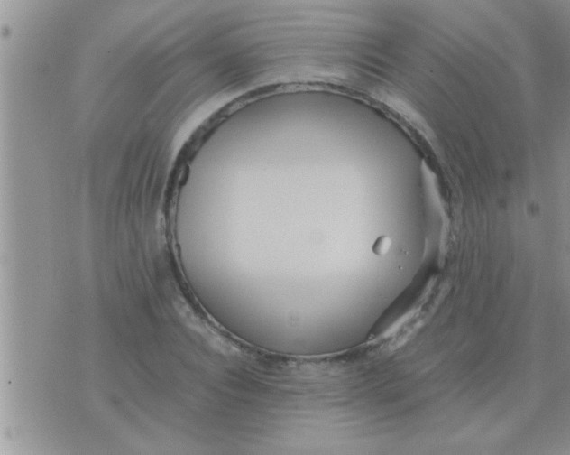 X0000071380928200607142107