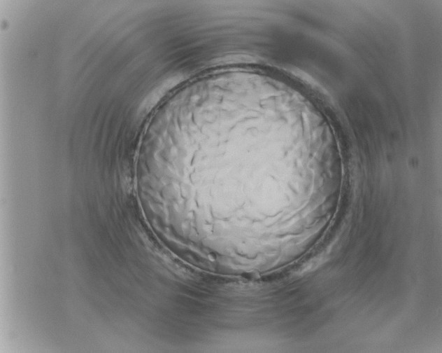 X0000071380929200607142107