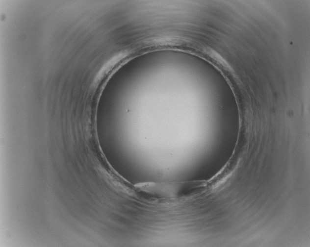 X0000071380930200607142107