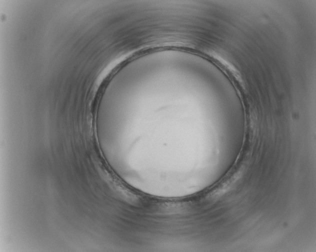 X0000071380933200607142107