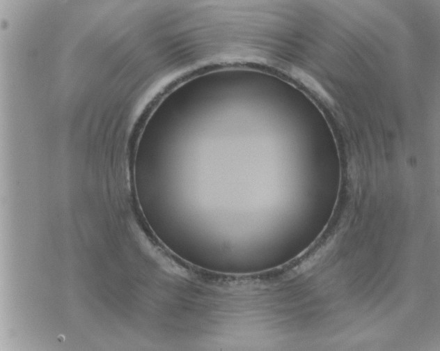 X0000071380934200607142107