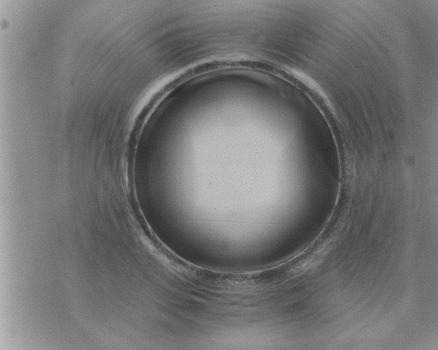 X0000071380935200607142107