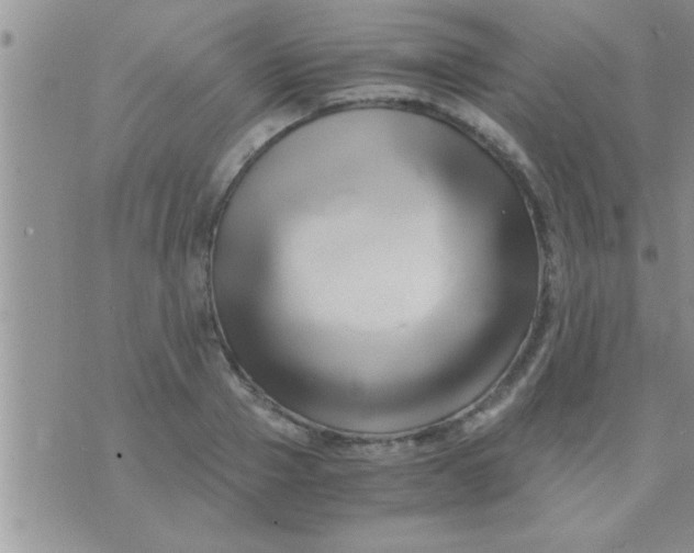 X0000071380937200607142107