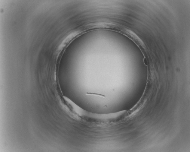 X0000071380938200607142107