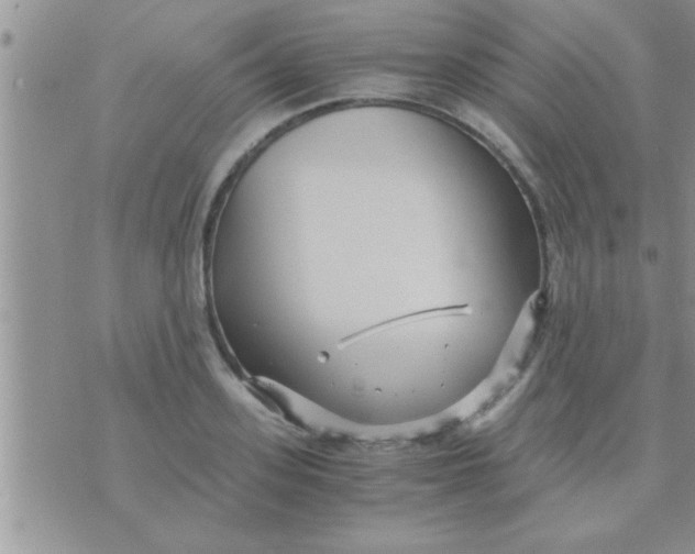 X0000071380939200607142107