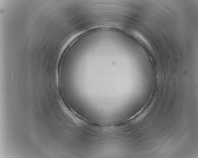 X0000071380940200607142107