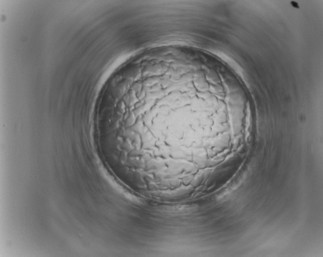 X0000071380949200607142107