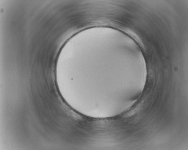 X0000071380950200607142107