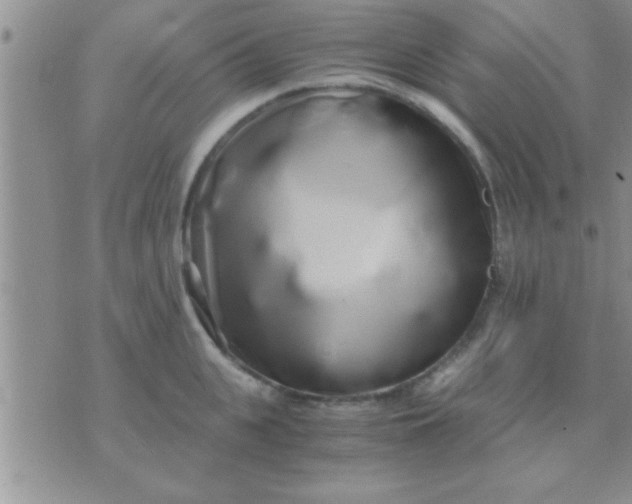 X0000071380951200607142107