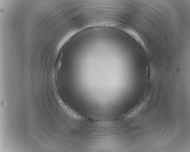 X0000071380952200607142107