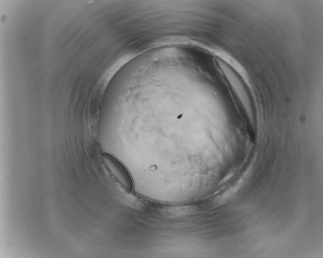 X0000071380953200607142107