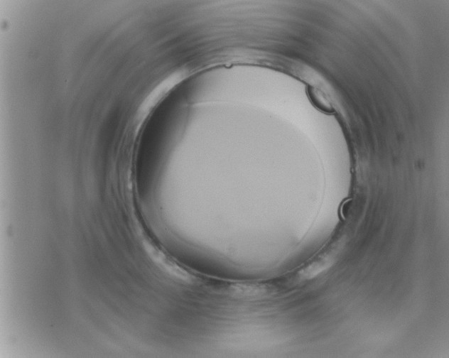 X0000071380954200607142107