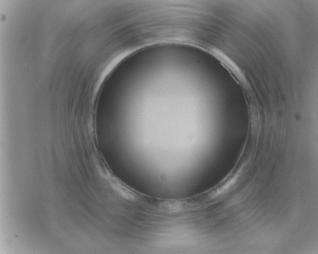 X0000071380956200607142107