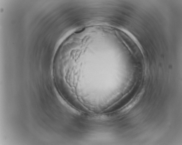 X0000071380957200607142107