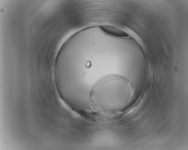 X0000071380958200607142107