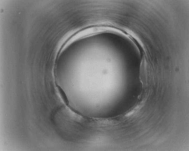 X0000071380959200607142107