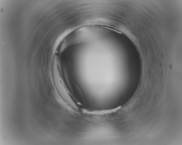 X0000071380960200607142107