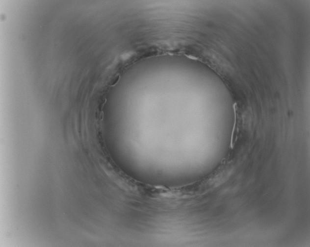 X0000071380961200607142106