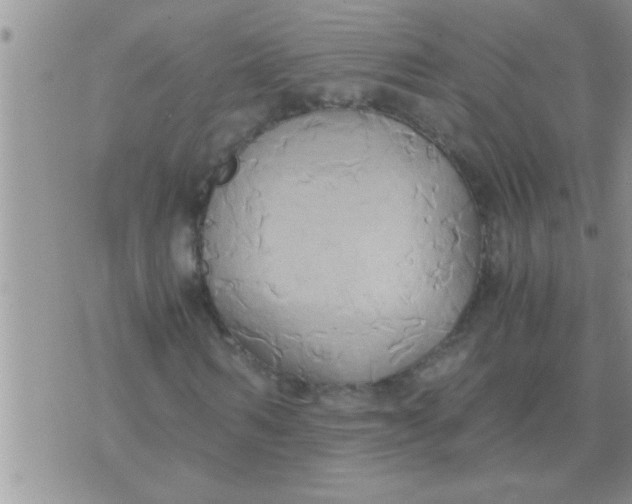 X0000071380962200607142106