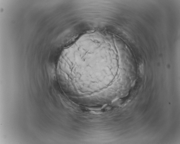 X0000071380963200607142106