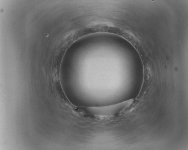 X0000071380965200607142106