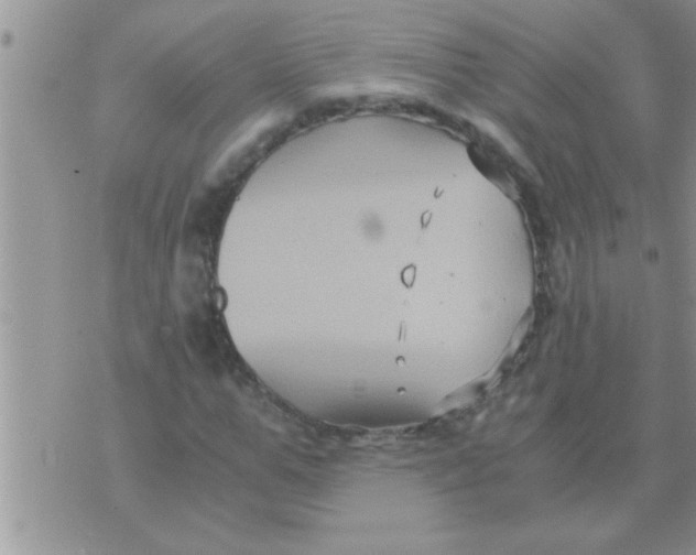 X0000071380967200607142106