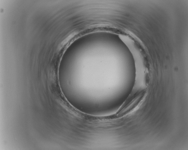 X0000071380969200607142106