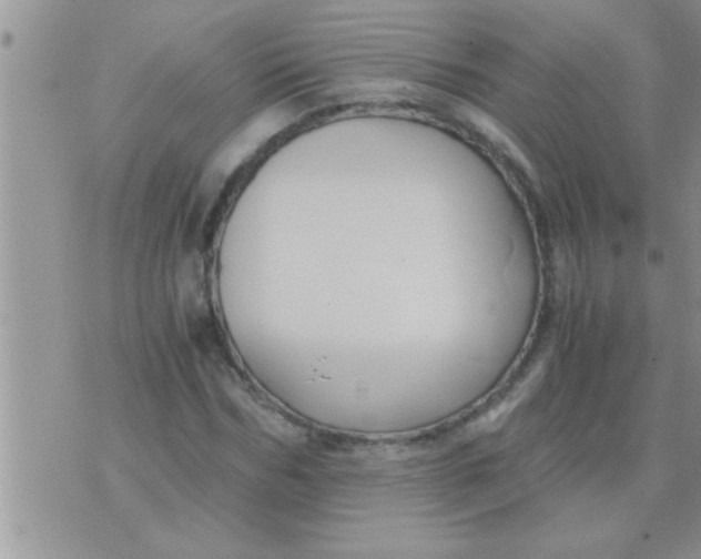 X0000071380970200607142106