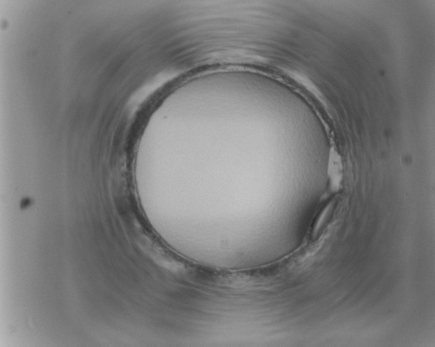 X0000071380971200607142106