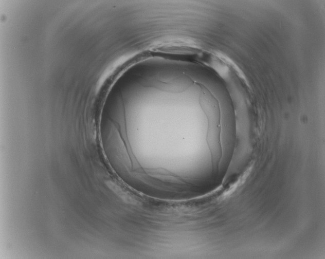 X0000071380973200607142106